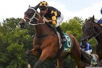 Tavisocks Goes Back To Back With Another Classy Win
