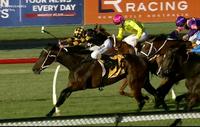 Inglis Classic Sale Coming Up