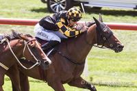 Eureka Sky Lands Huge Plunge