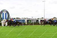 Snitzel's Joy continues to spread the Joy