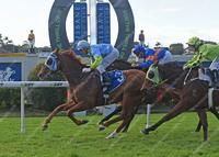 Neptune Palace takes career earnings over $100K