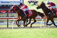 Winners are Grinners and we all enjoyed Kirin’s Lad’s win