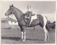 Bougoure's - A Dynasty of Horsemanship