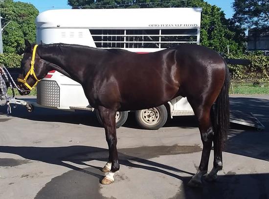 Unencumbered X Palabiro