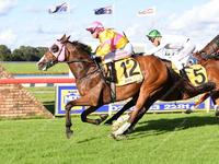 Flinders Dragon defies his double figure odds