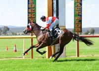 Commentator calls Crafty Spirit win an Exhibition Gallop