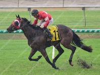 Crafty Spirit plows through the mud to score easily at Doomben
