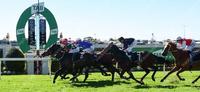 MITTERE PUTS IN HUGE RUN FIRST UP