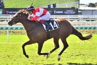 Promising filly Ginger Rock 2YO Saturday Metropolitan win
