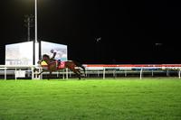 Nudgee Dominant At The Sunshine Coast