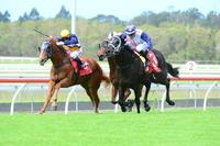 Rippin 'N' Tearin breaks maiden in strong fashion