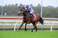 Nudgee Wins Again And Breaks The Class Record