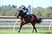 Seductive Dream back to winning form