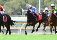 Seductive Dream Our First Metro Winner