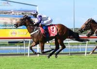 Massabielle Rewards Faith