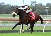 Tucano's Win One of Our Most Satisfying