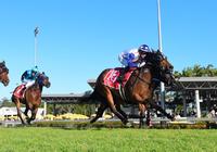 Arquera Strong In First Up Win