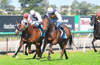 Savvy Acquisition Wins At The Gold Coast