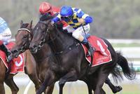 Kalik's Boxing Day Metro Victory