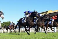 Brave Brando Becomes Our First Eagle Farm Winner