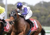Arquera Relishes Home Track