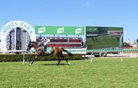 Dune Forty Five Impressive In Maiden Win