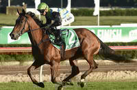 Group 1 ATC OAKS second for smart Filly