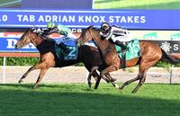 Close call in the Group 3 Adrian Knox