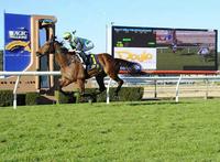 Easy Win for ROUGE MISSILE