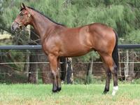 New racing opportuntiy