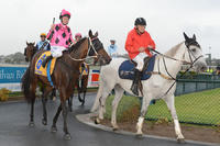 Kawabata wins a crack at Adelaide Cup