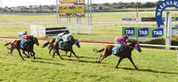 Prince zigs and zags way to maiden win