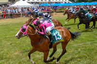 Flute's get filled after filly's debut win
