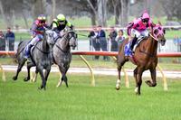 Prince Ziggy marks anniversary with back-to-back wins