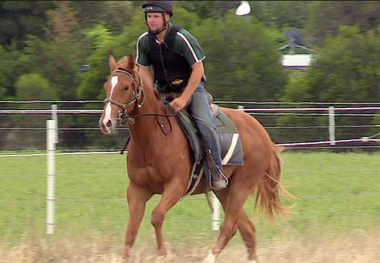 Toorak Toff X Pinsahoy