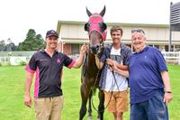 Gambeson lands betting plunge at stable debut
