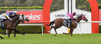 Prince Ziggy makes it five wins this campaign