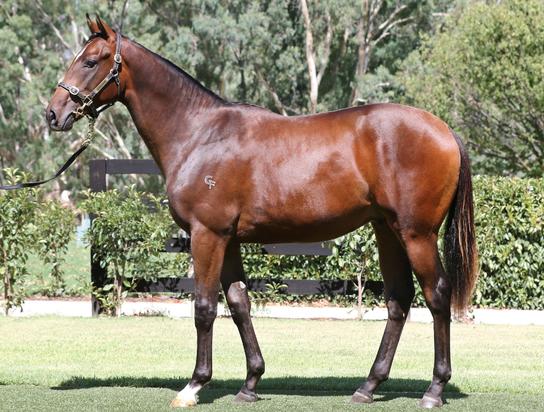 All Too Hard X Whitney Colt