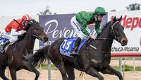 Unlucky Lorenzetti gets stable double done