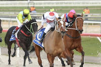 Fortune Rose wraps up stable's record breaking season