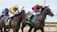 Honeywine justifies strong stable confidence