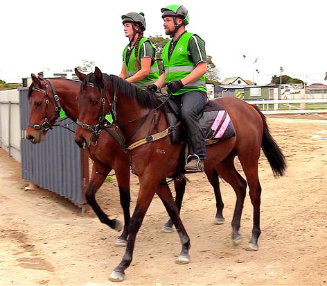 Turffontein X So You Pink