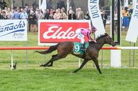 Vahvuus romps home at Dunkeld