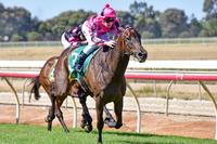 Vahvuus on a winning run
