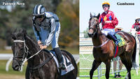 Boxing Day long haul pays off with double