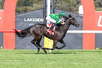 City win sets up Lorenzetti for stayers series