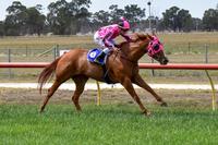 Consistent mare justifies Emsley Lodge confidence