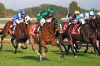 Easy win has Miletus on SA Derby path