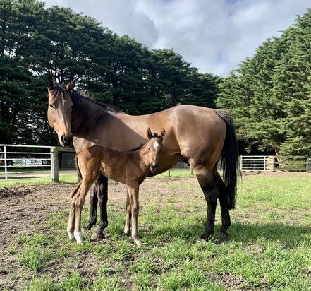 Winning Rupert X They Call Me Bolt