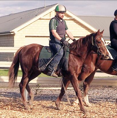 Capitalist X Annifrid Colt
